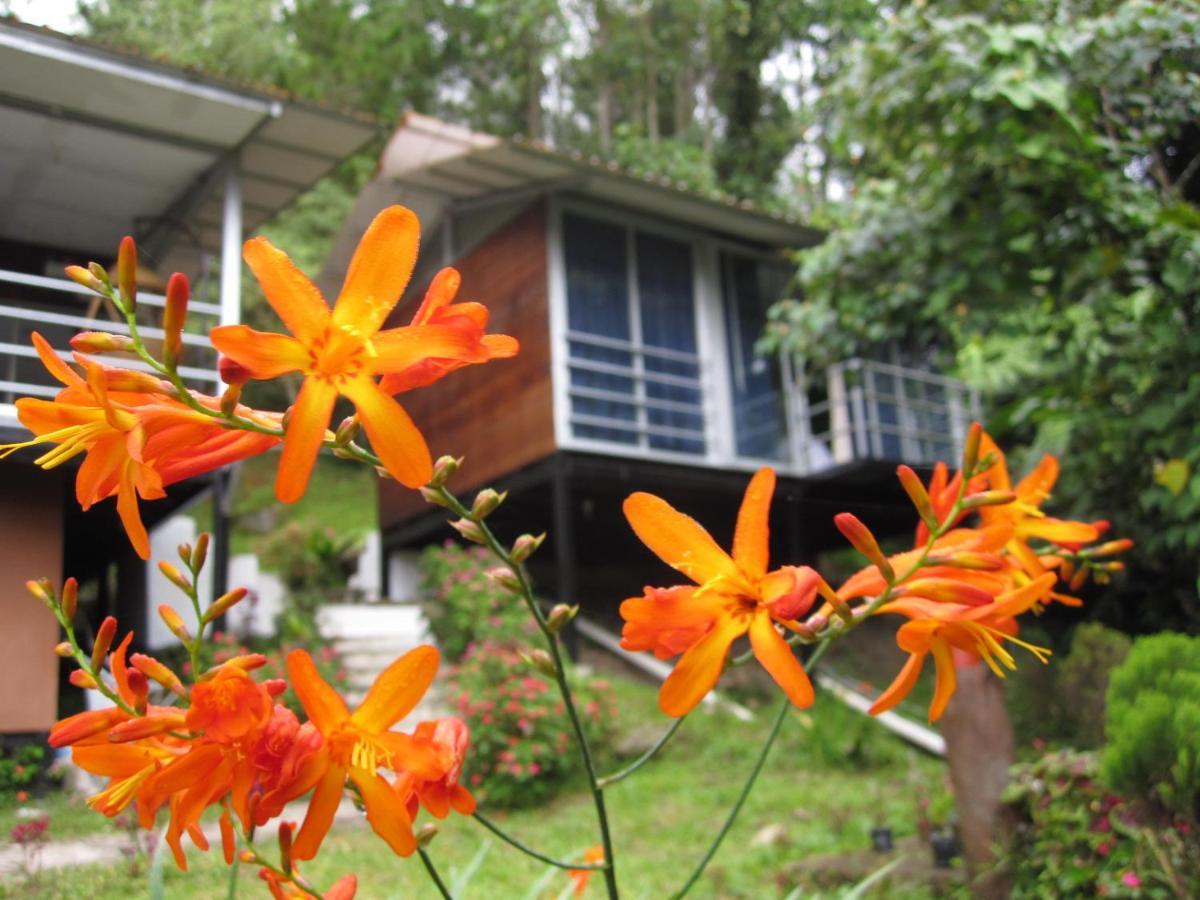 J Residence Kundasang Exterior photo